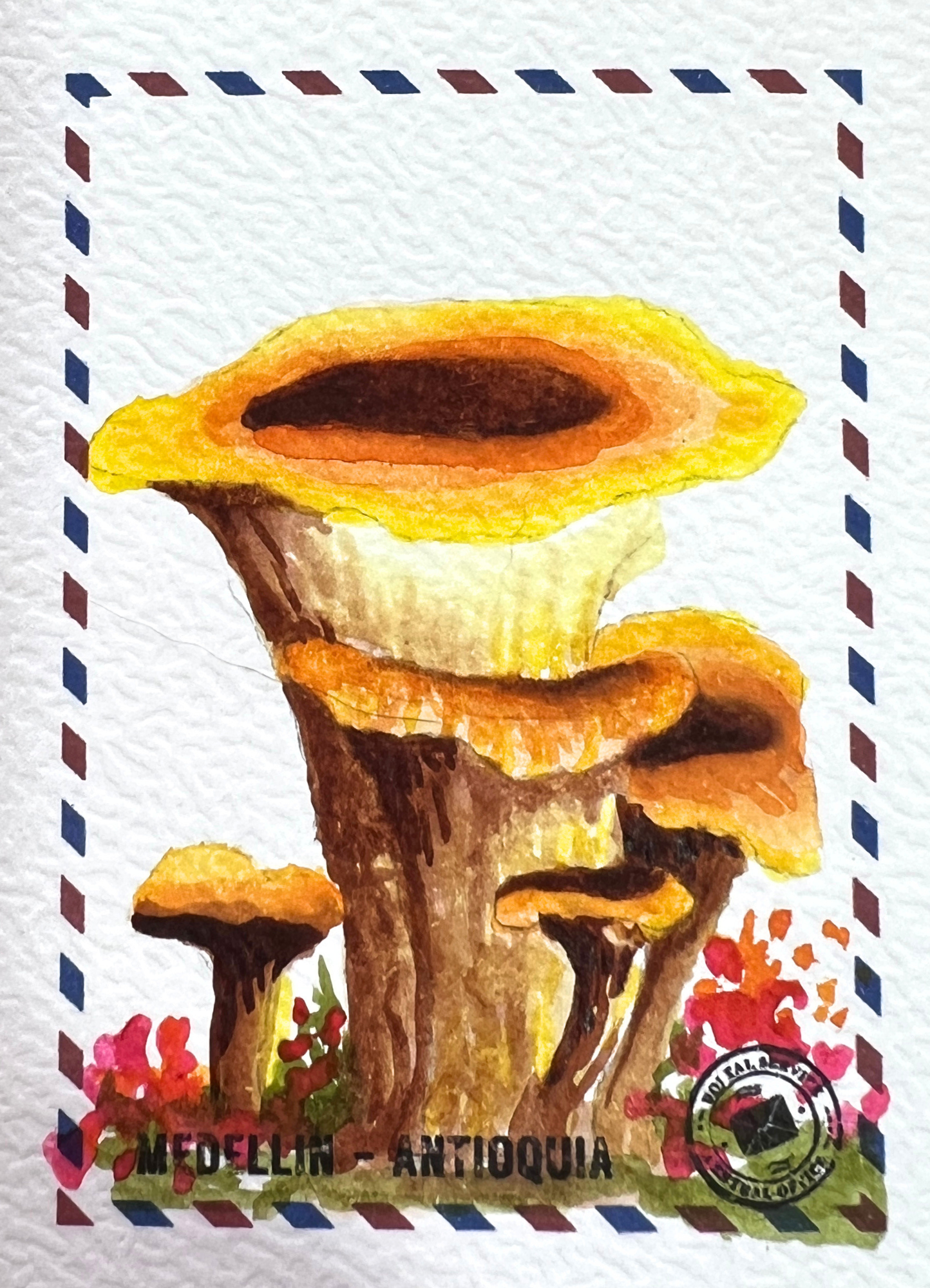 🍄 Sombra de Duende 🍄