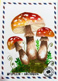🍄 Botón de Rocío 🍄