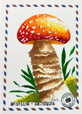 Guardián del Bosque Ancestral 🍄✨