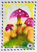 Amanecer de Otoño en el Bosque 🍄✨