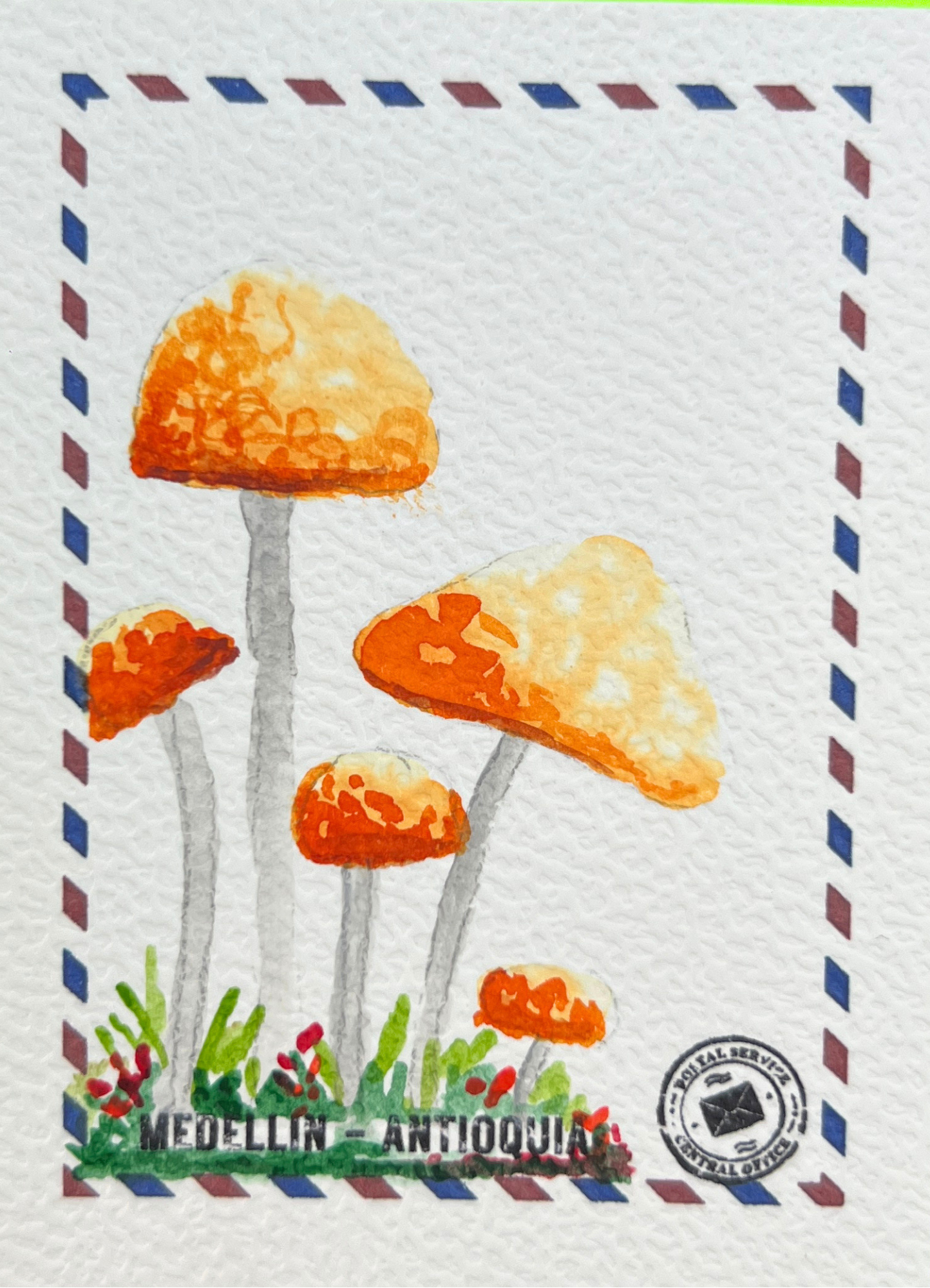 Destello Dorado del Bosque 🍄✨