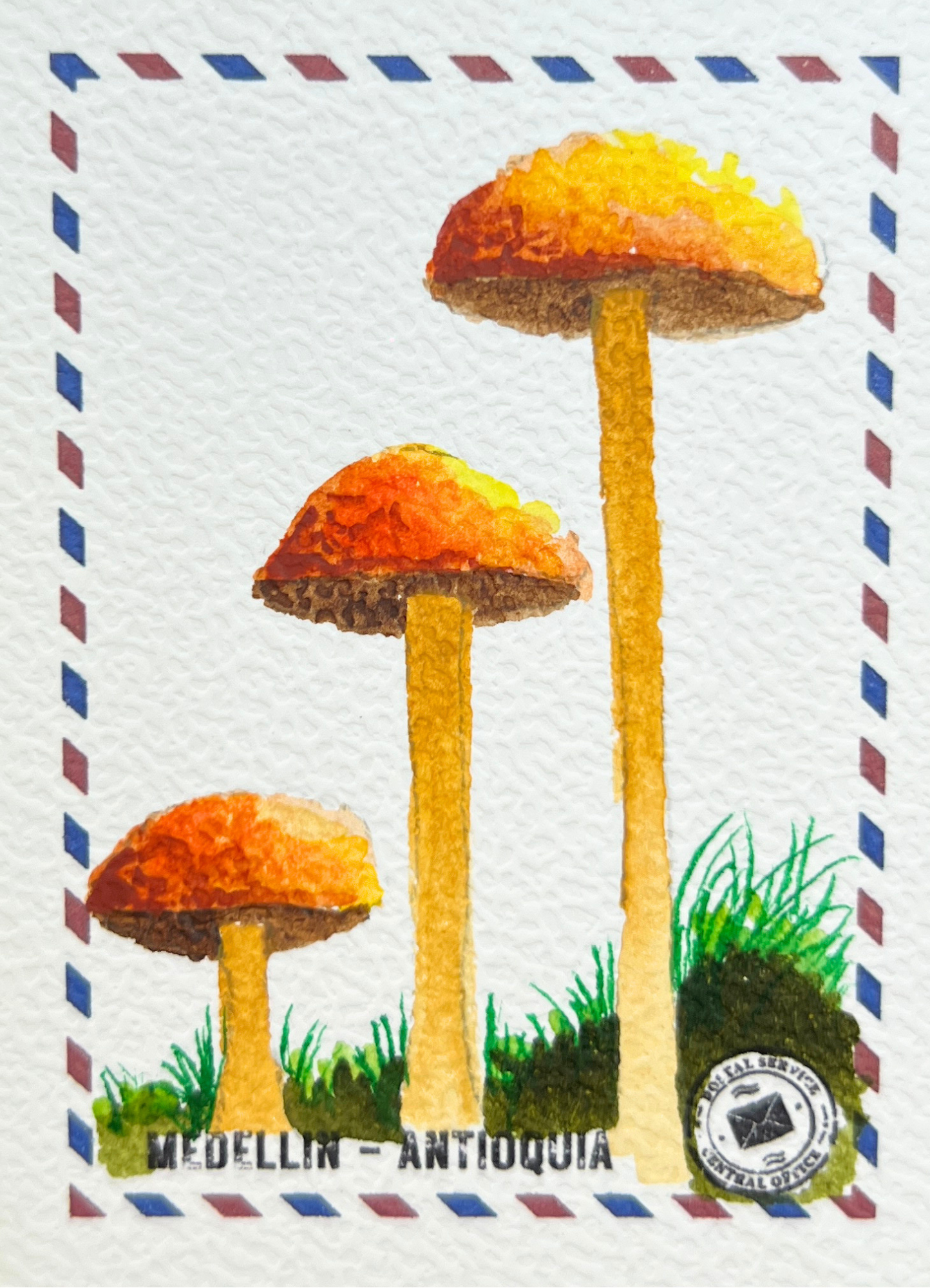 Destello de Otoño en el Bosque 🍄✨
