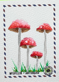 Trío de Encanto Silvestre 🍄✨