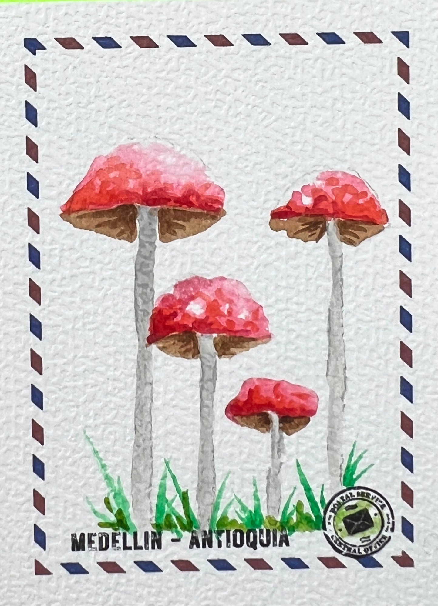Trío de Encanto Silvestre 🍄✨