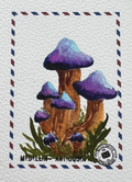 🍄Correo del Bosque 🍄