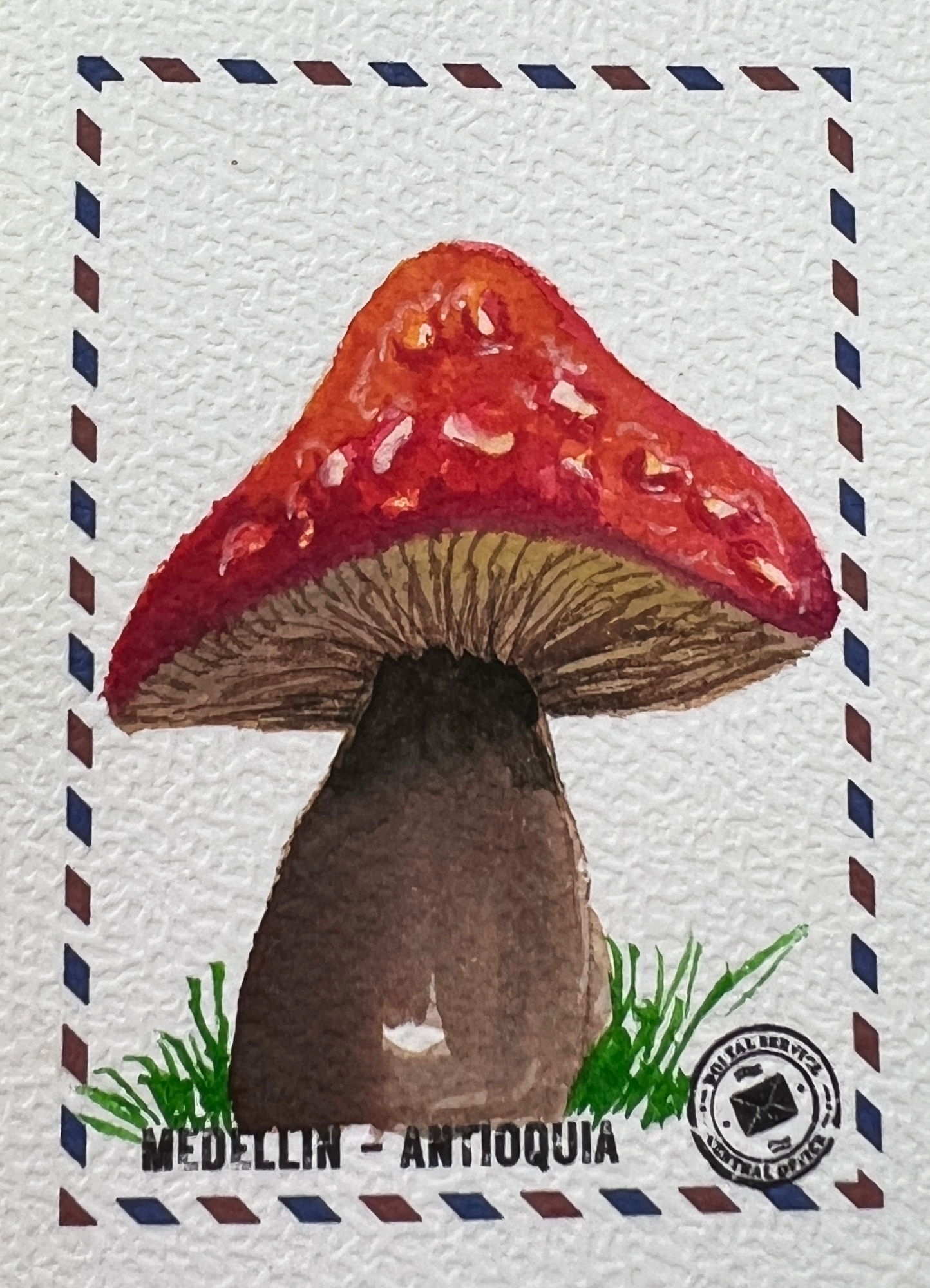 El Señor del Hongo 🍄✨