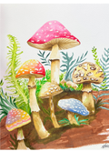 El Reino de los Hongos Majestuosos 🍄✨