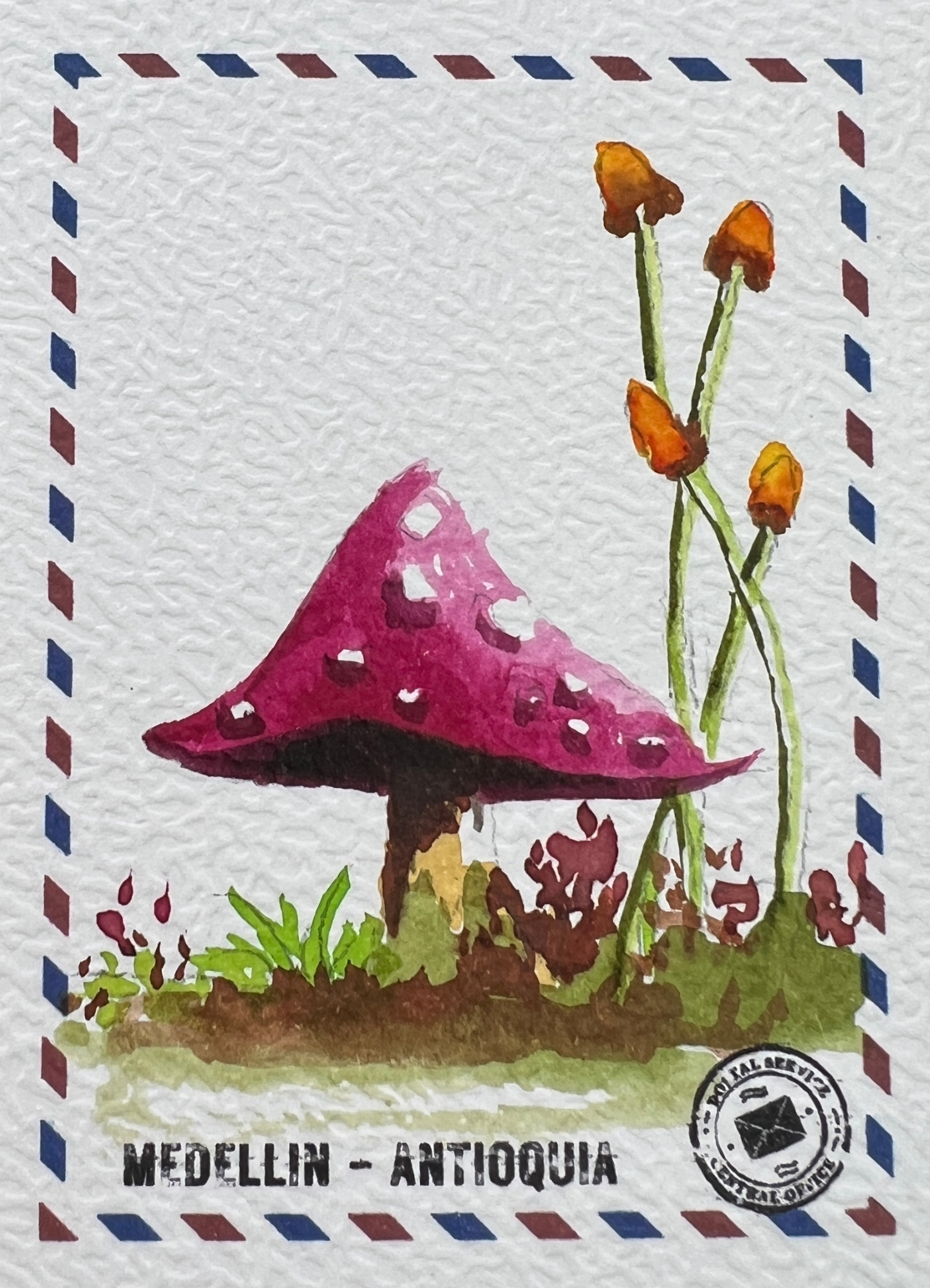 🍄 Remitente Carmesí 🍄