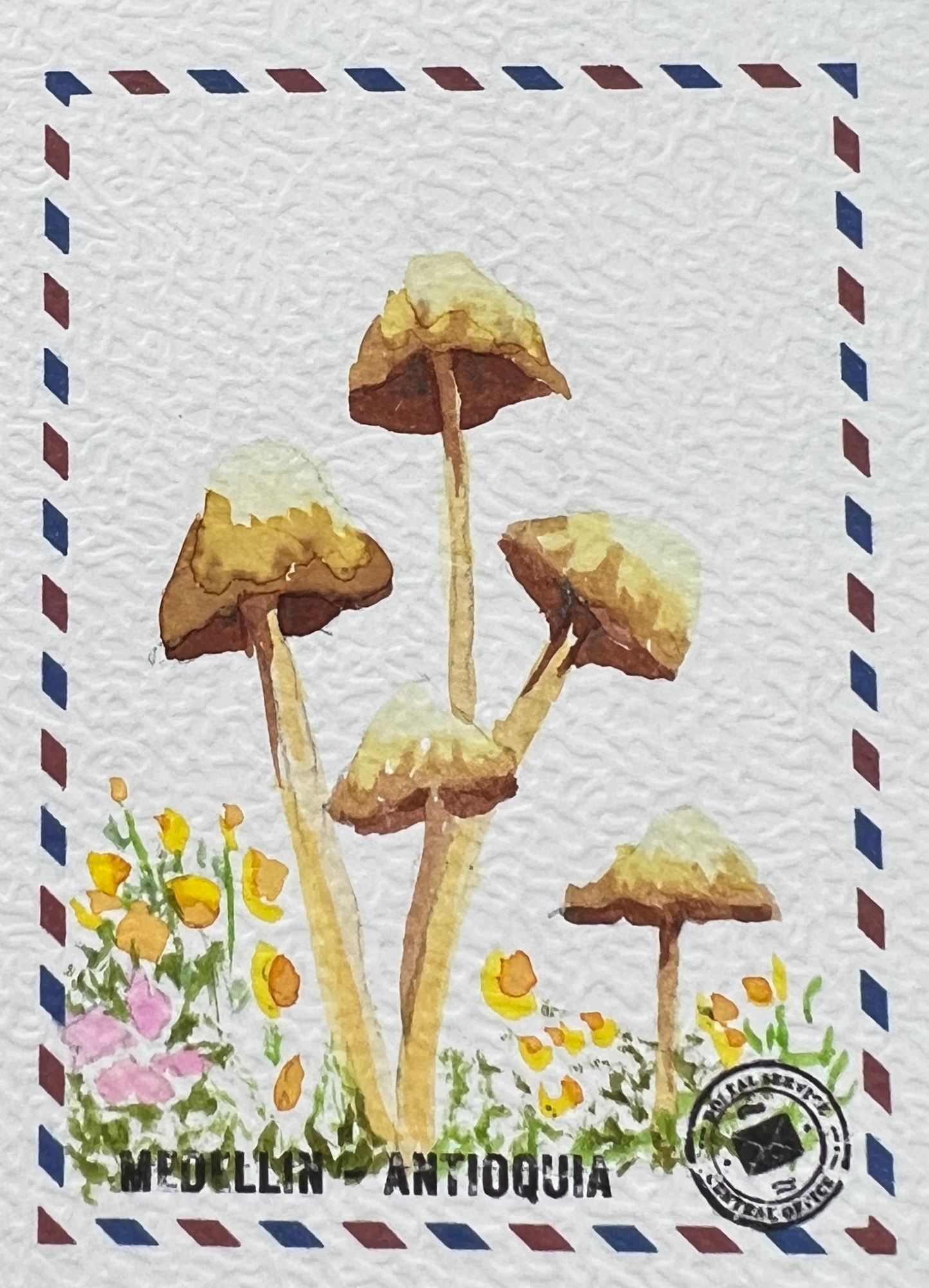 🍄 Mensajero de Ocre 🍄