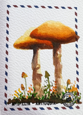 🍄Susurro de Musgo 🍄