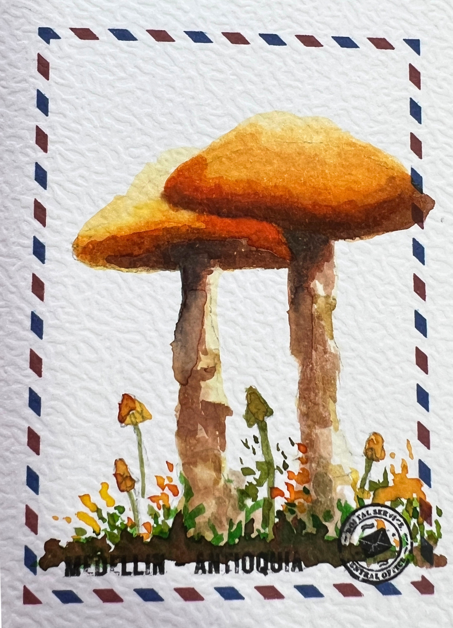 🍄Susurro de Musgo 🍄