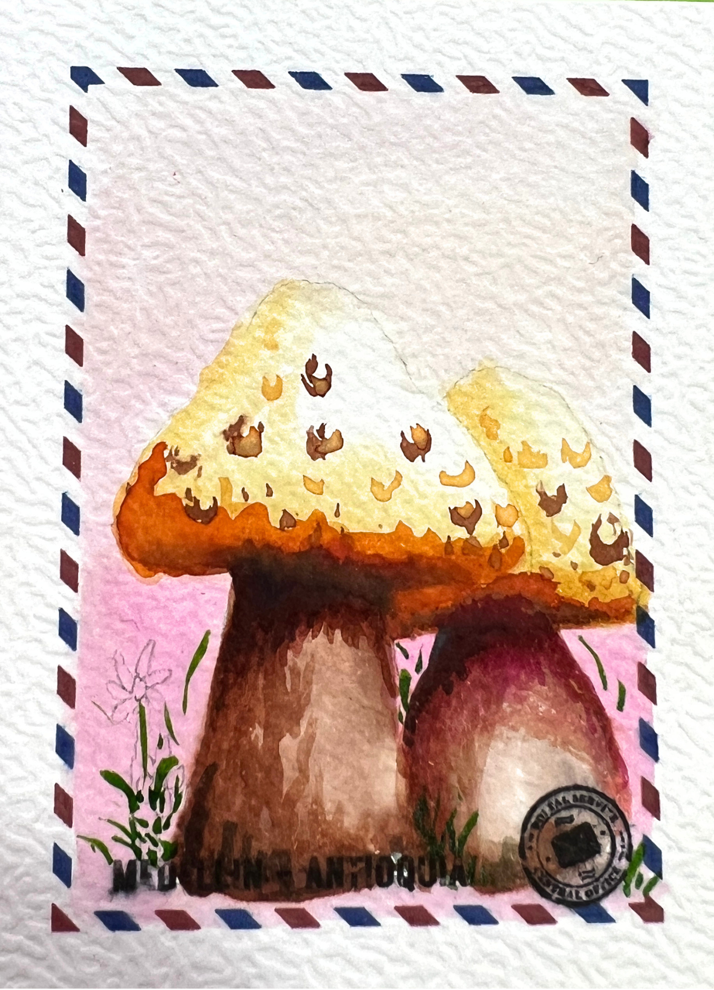 🍄 Destello de Hada 🍄